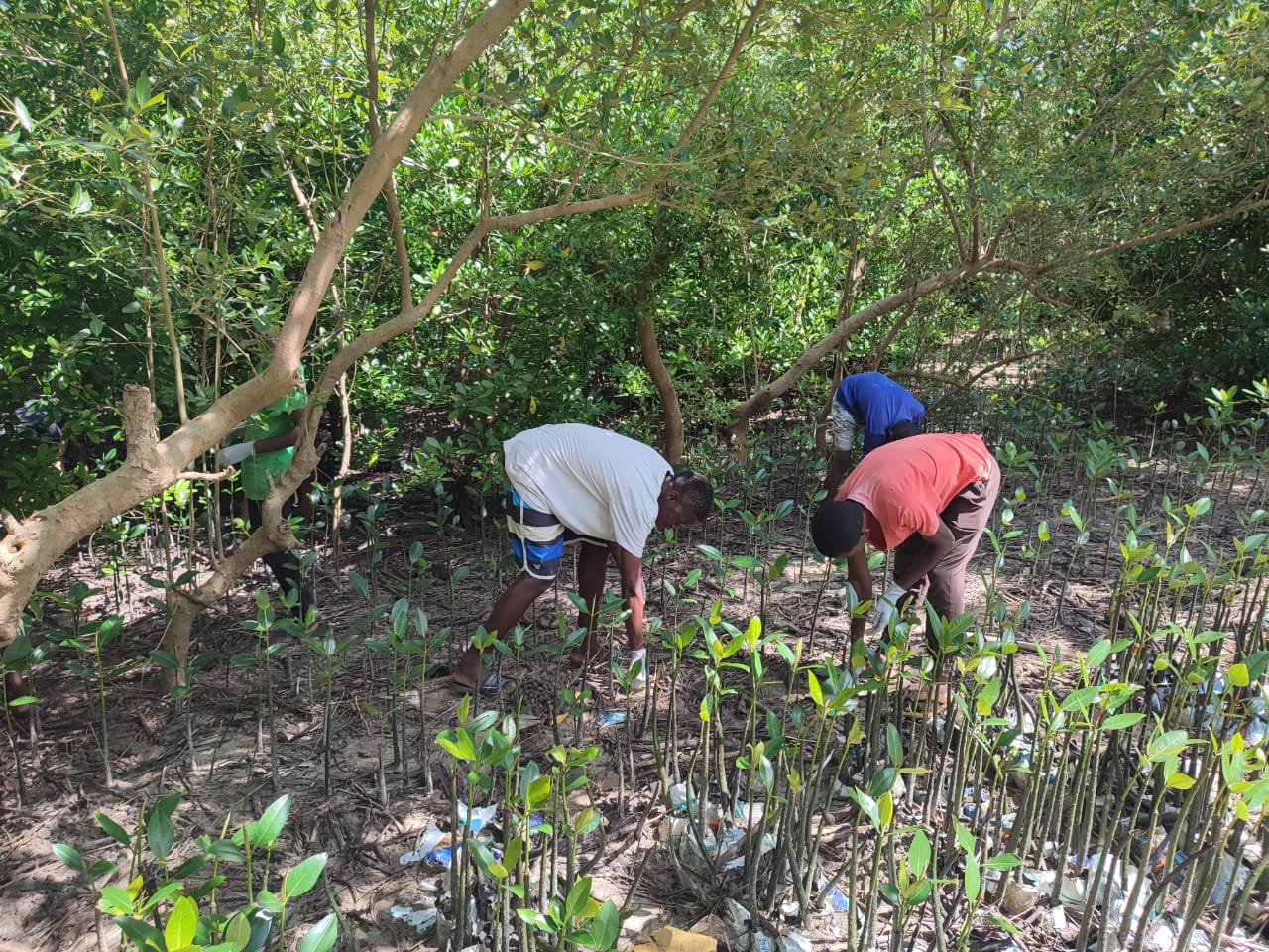 Mtwapa Creek CSR 1 A.N. Kamau & Co. Advocates
